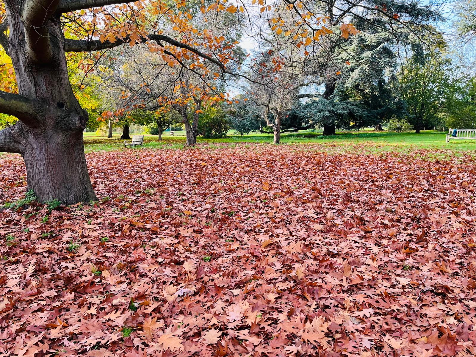 Spring Image 1